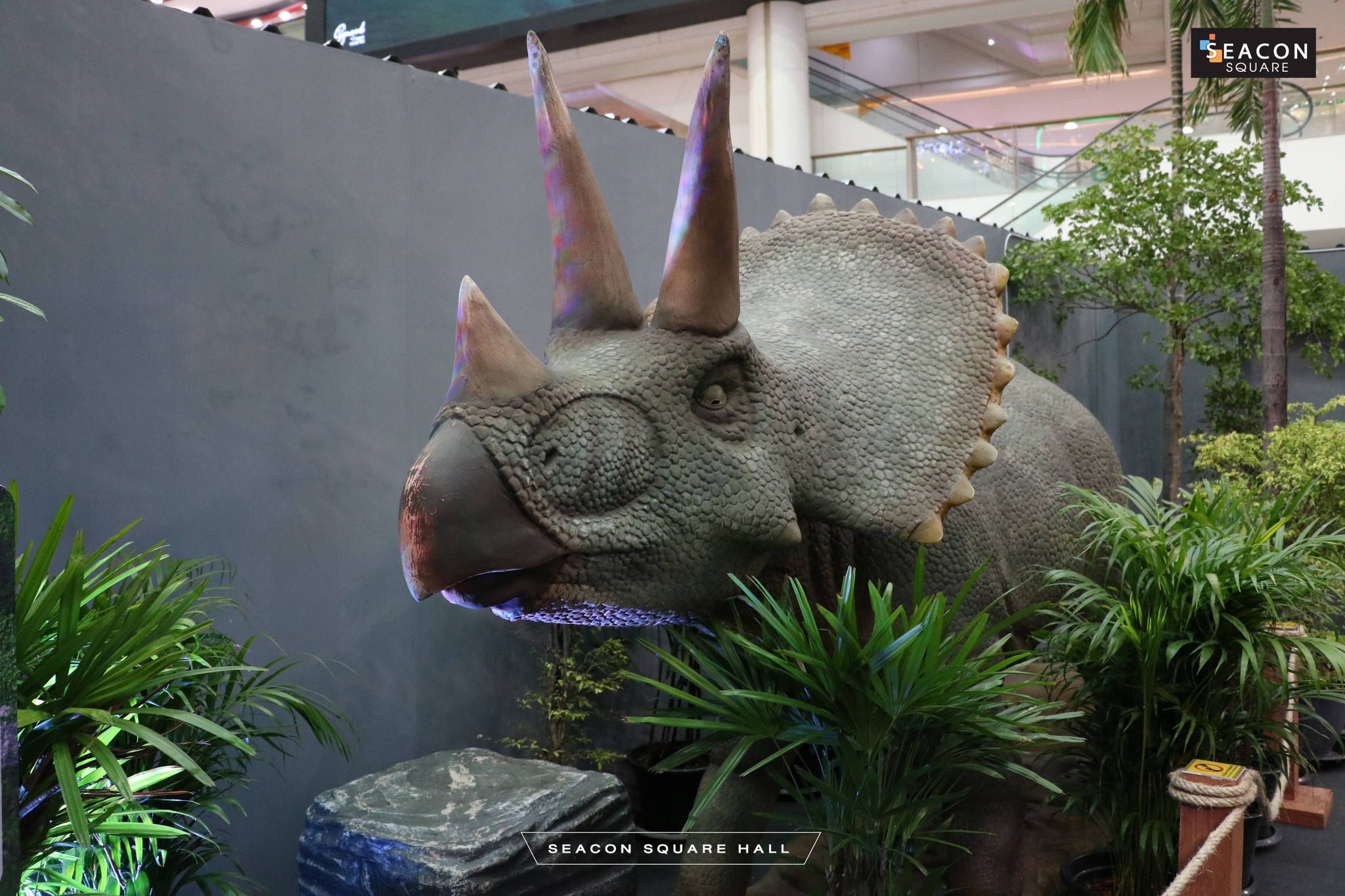 643393953_1289992599898185_4171420149384324724_n