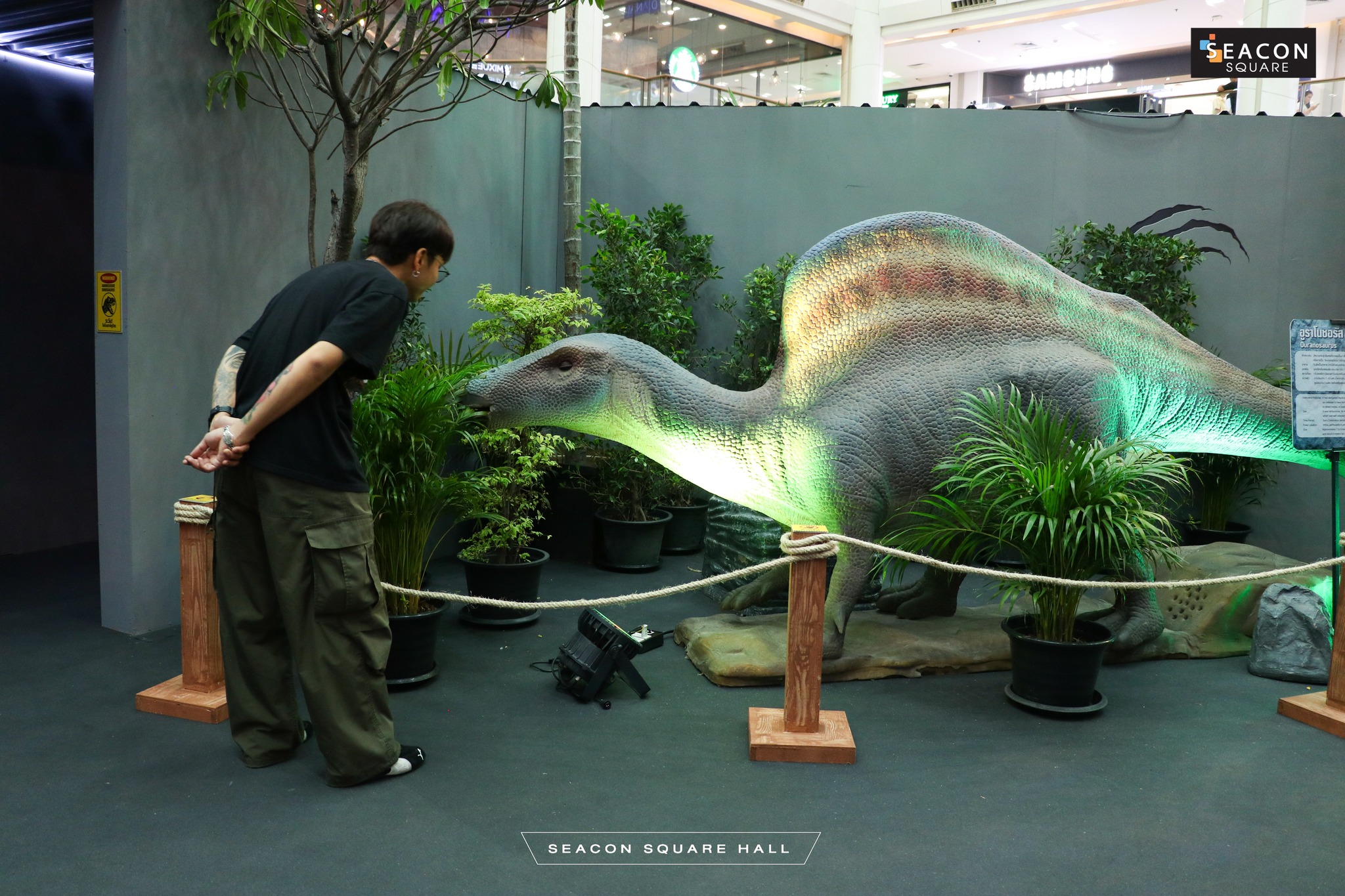 643419020_1289993316564780_4611445596569685967_n